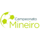 الدوري البرازيلي